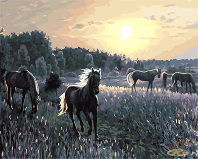 Tier Malen nach Zahlen GX22399