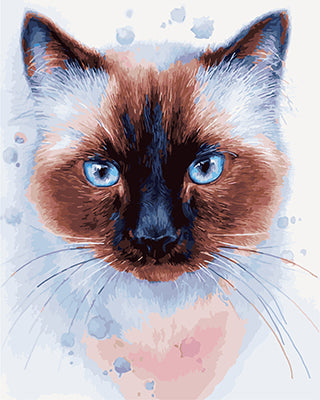 Hund & Katze Malen nach Zahlen GX22407