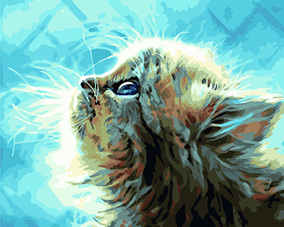 Hund & Katze Malen nach Zahlen GX22449