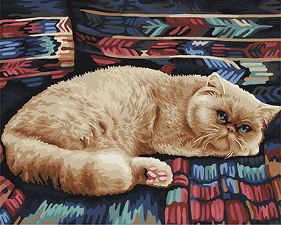 Hund & Katze Malen nach Zahlen GX22466