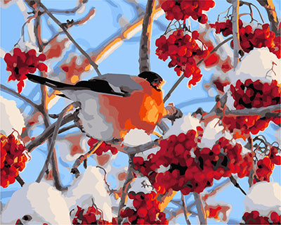 Vogel Malen nach Zahlen GX22496