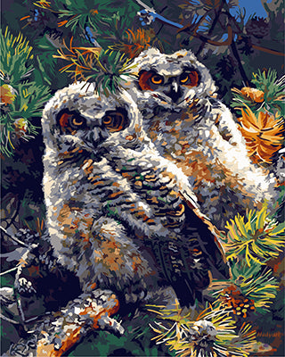 Tier Malen nach Zahlen GX22708