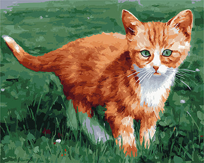 Hund & Katze Malen nach Zahlen GX22737