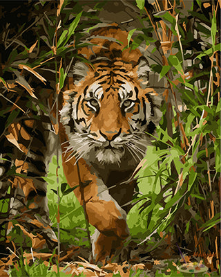 Tier Malen nach Zahlen GX22798