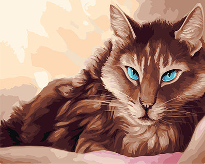 Hund & Katze Malen nach Zahlen GX22853