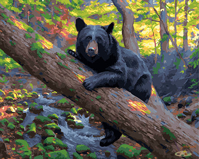 Tier Malen nach Zahlen GX22881