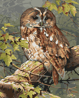 Tier Malen nach Zahlen GX23207