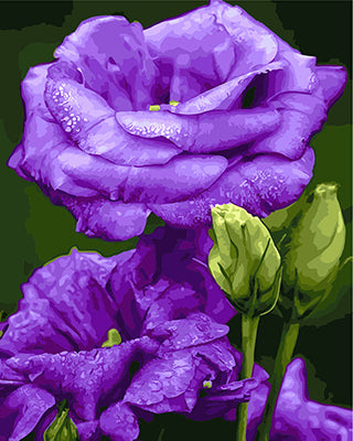 Blume Malen nach Zahlen GX23238