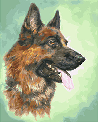 Hund & Katze Malen nach Zahlen GX23244