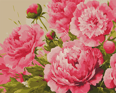 Blume Malen nach Zahlen GX23270