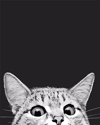 Hund & Katze Malen nach Zahlen GX23365