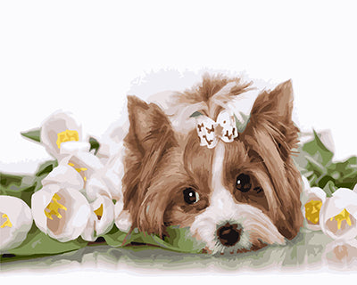 Hund & Katze Malen nach Zahlen GX23371