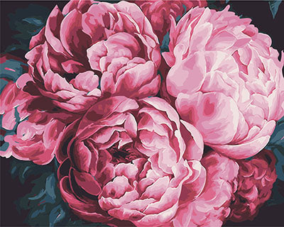 Blume Malen nach Zahlen GX23411