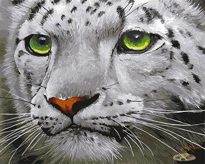 Tier Malen nach Zahlen GX23543