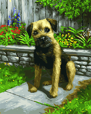 Hund & Katze Malen nach Zahlen GX23621