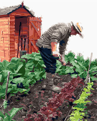 Porträt Malen nach Zahlen GX23674