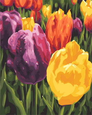 Blume Malen nach Zahlen GX23769