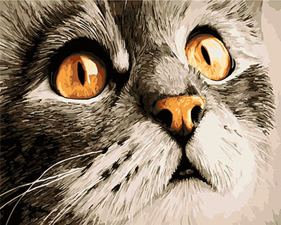 Hund & Katze Malen nach Zahlen GX23782