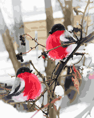 Vogel Malen nach Zahlen GX23794