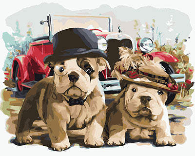 Hund & Katze Malen nach Zahlen GX23845