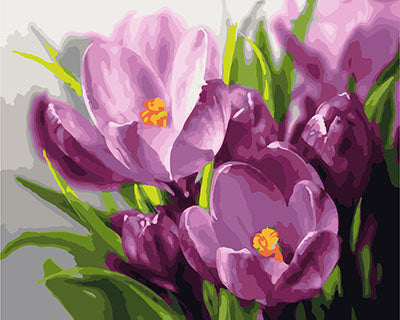 Blume Malen nach Zahlen GX23846