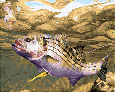 Tier Malen nach Zahlen GX24045