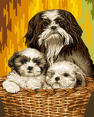 Hund & Katze Malen nach Zahlen GX24063