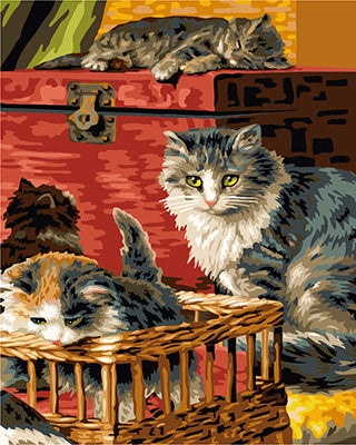 Hund & Katze Malen nach Zahlen GX24064