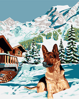 Hund & Katze Malen nach Zahlen GX24065