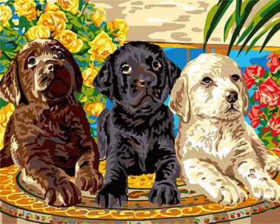 Hund & Katze Malen nach Zahlen GX24073