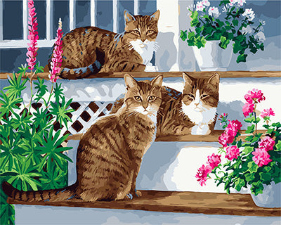 Hund & Katze Malen nach Zahlen GX24188