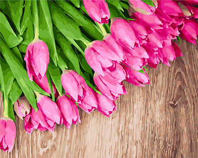 Blume Malen nach Zahlen GX24191