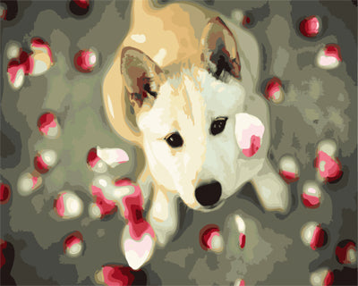 Hund & Katze Malen nach Zahlen GX24254