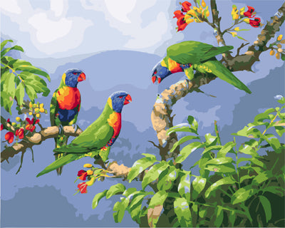 Vogel Malen nach Zahlen GX24287