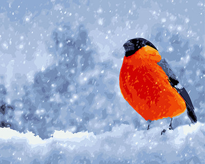 Vogel Malen nach Zahlen GX24585