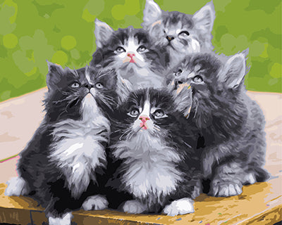 Hund & Katze Malen nach Zahlen GX24592