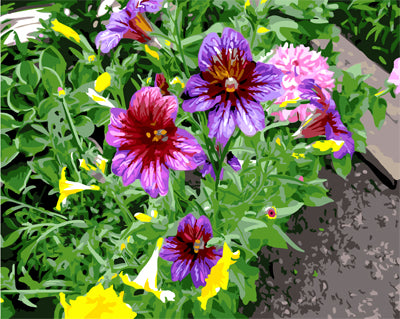 Blume Malen nach Zahlen GX24693