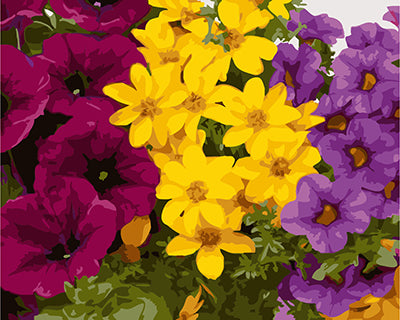 Blume Malen nach Zahlen GX24789