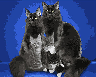 Hund & Katze Malen nach Zahlen GX24802