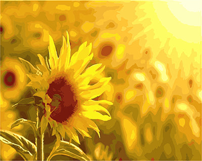 Blume Malen nach Zahlen GX24821