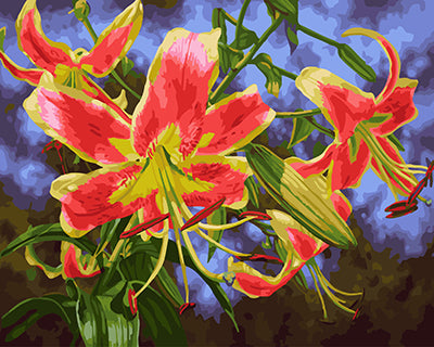 Blume Malen nach Zahlen GX24948