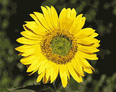 Blume Malen nach Zahlen GX24977