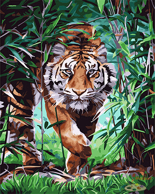 Tier Malen nach Zahlen GX25131