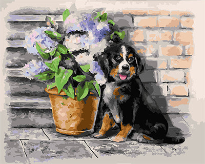 Hund & Katze Malen nach Zahlen GX25171