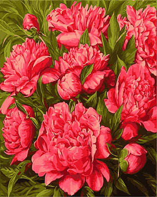 Blume Malen nach Zahlen GX25230