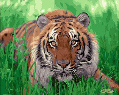 Tier Malen nach Zahlen GX25258