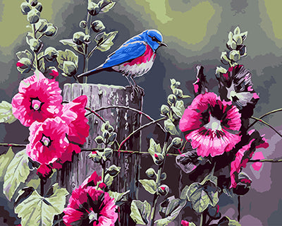 Vogel Malen nach Zahlen GX25277