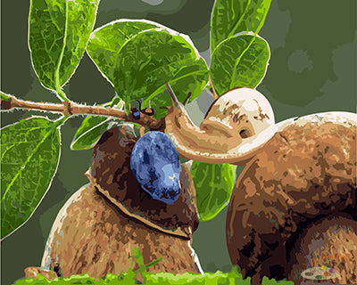 Tier Malen nach Zahlen GX25286