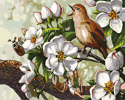 Vogel Malen nach Zahlen GX25294