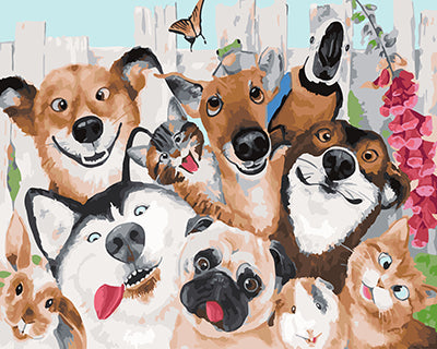 Hund & Katze Malen nach Zahlen GX25318